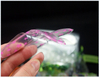 Convenient Gel Heel Strip Colorful Heel Pad Insoles for High Heel Sandals