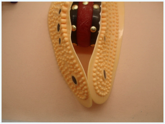 Best Insole for Metatarsalgia Unisex Magnetic Insole 