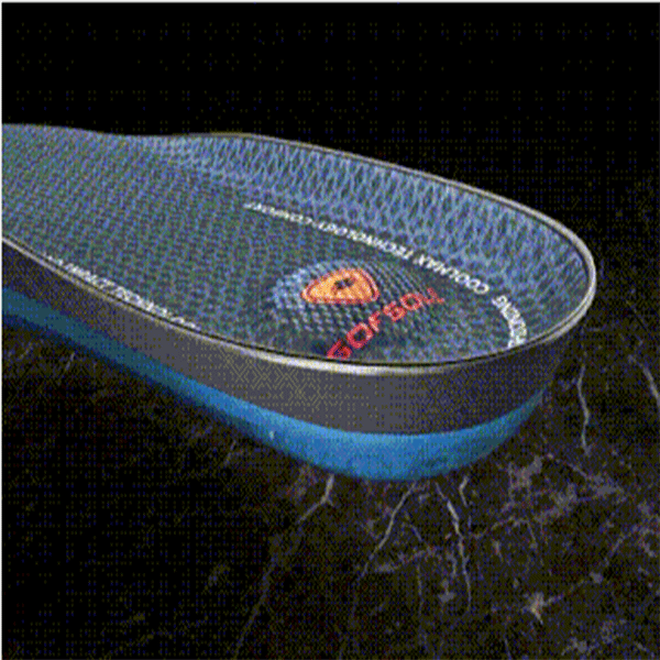 nab insole